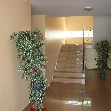 特拉酒店 艾福雷诺德